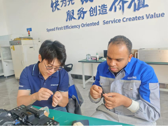 Egyptian Agent Vsits